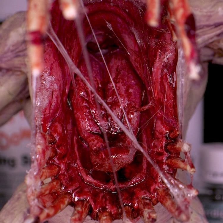 Dirty Down Snot Effect 25ml