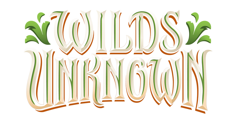 Disney Lorcana: Wilds Unknown