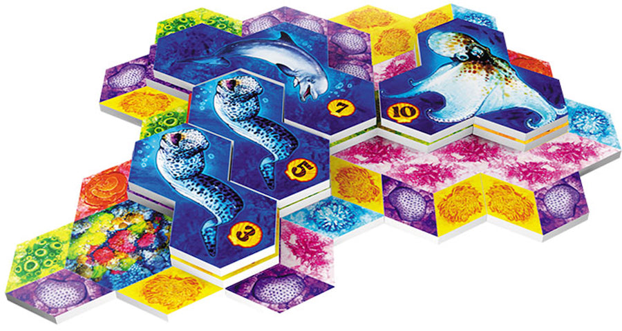 AQUA: Biodiversity in the Oceans