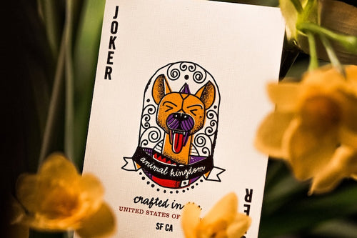 Animal Kingdom Playing Cards by Theory11