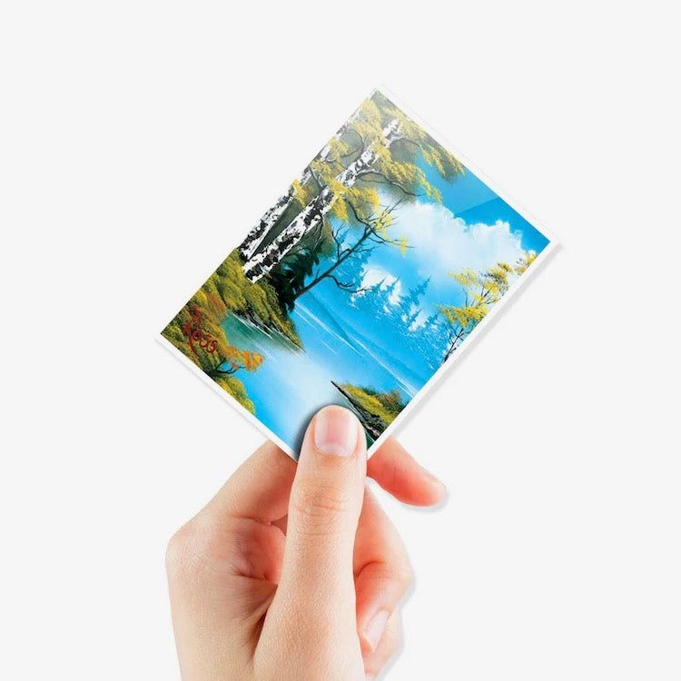 Bob Ross Lakeside Path 105ct APEX Deck Protector Sleeves