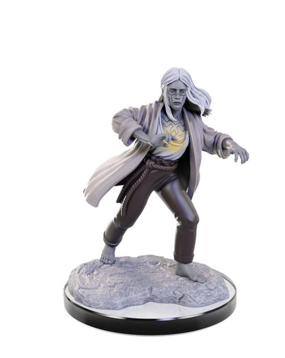 D&D Nolzur's Marvelous Miniatures: Reborn Paladin & Warlock