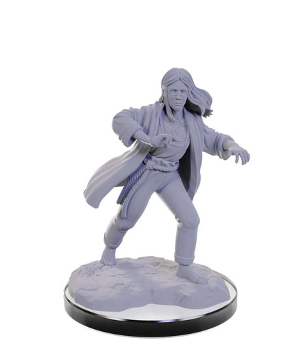 D&D Nolzur's Marvelous Miniatures: Reborn Paladin & Warlock
