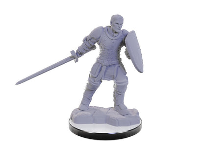 D&D Nolzur's Marvelous Miniatures: Reborn Paladin & Warlock