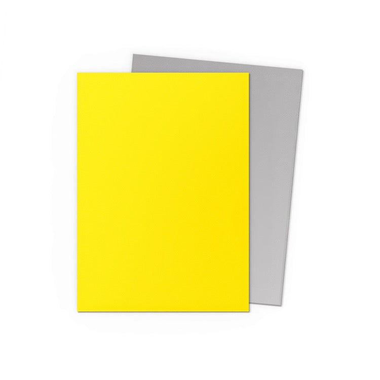 Dragon Shield - Yellow & Silver - Matte Dual Sleeves - Standard Size
