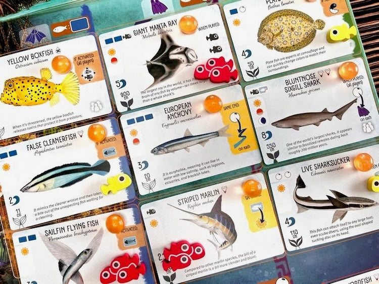 Finspan Upgrade Pack (Wooden Tokens & Squishy Eggs)