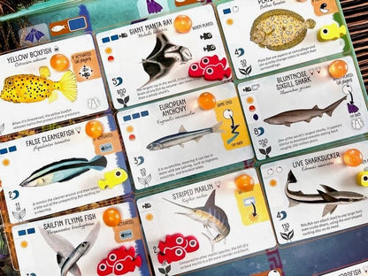 Finspan Upgrade Pack (Wooden Tokens & Squishy Eggs)