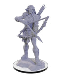Pathfinder Deep Cuts: Wood Giant