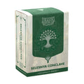 Dragon Shield - Selesnya Conclave (Guildpact Series) - Matte Dual Art Sleeves - Standard Size