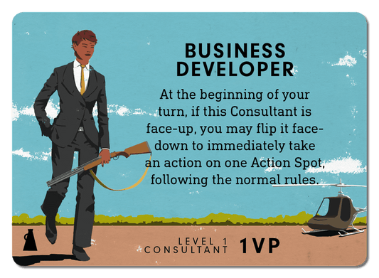 Consultant: Business Developer